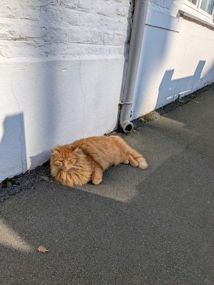 Image ajoutée par Kevin