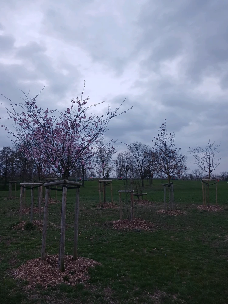 Jongminchoi님이 올린 사진