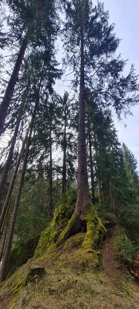 GIF hochgeladen von Peter