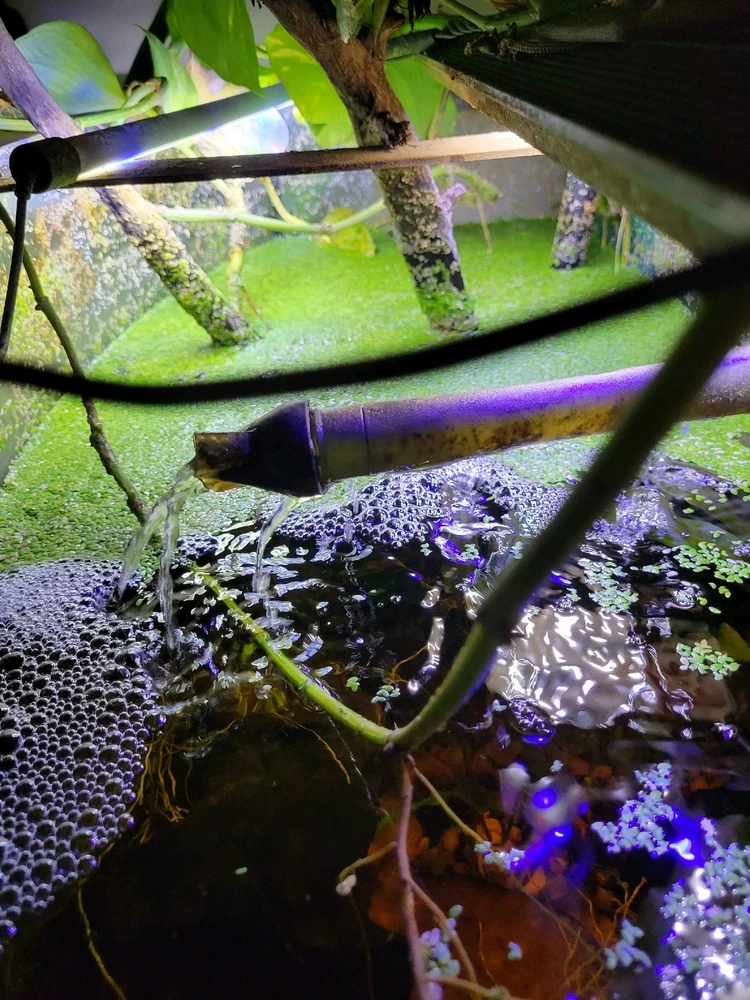 Image uploaded by Cassius