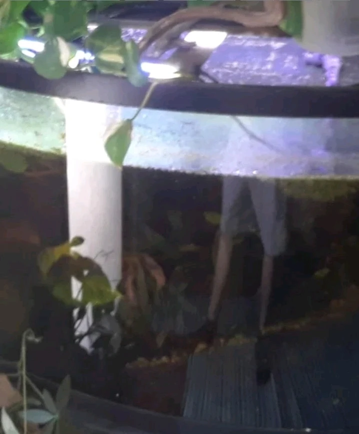 Image uploaded by Cassius