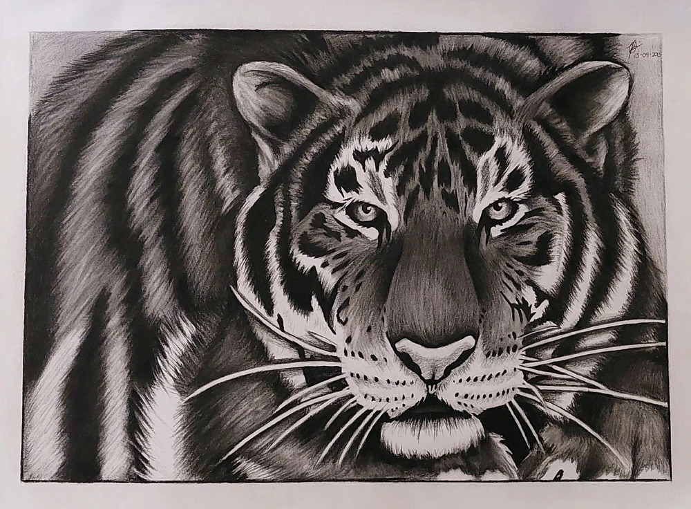 Image uploaded by Quintin