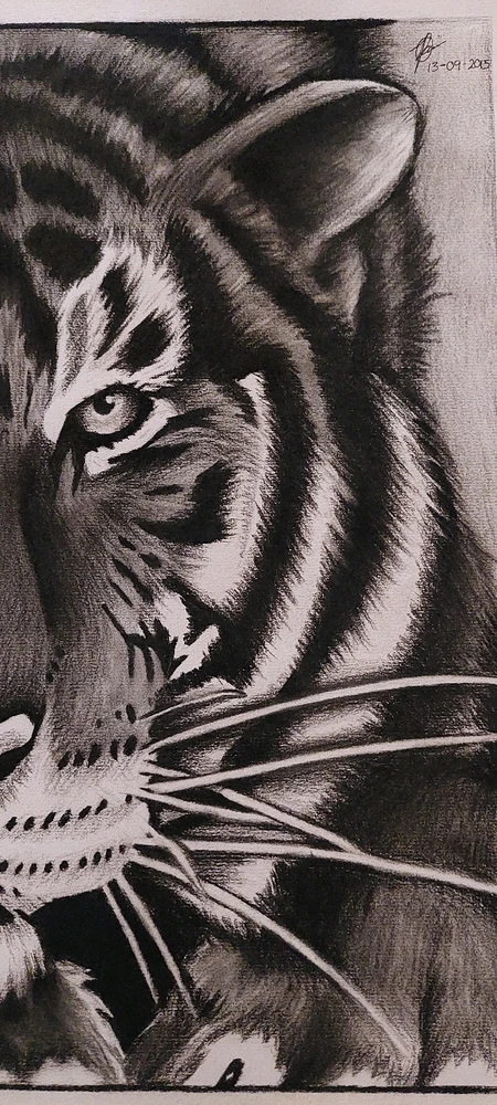 Image uploaded by Quintin