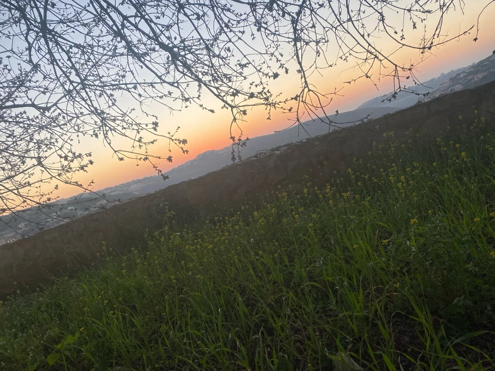 I’m new here, anyone want to play mobile legends?🌚👀