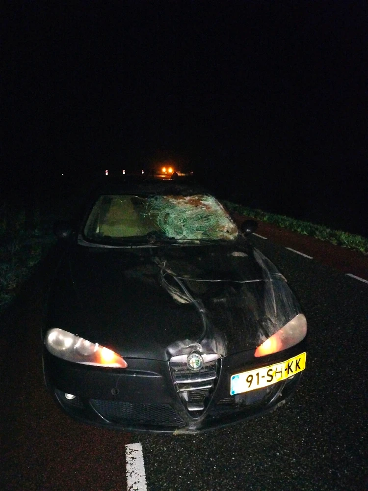 Afbeelding geüpload door Orlando