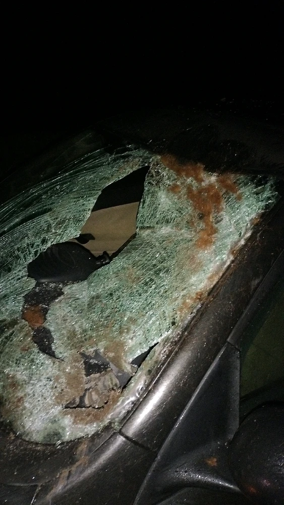 Afbeelding geüpload door Orlando