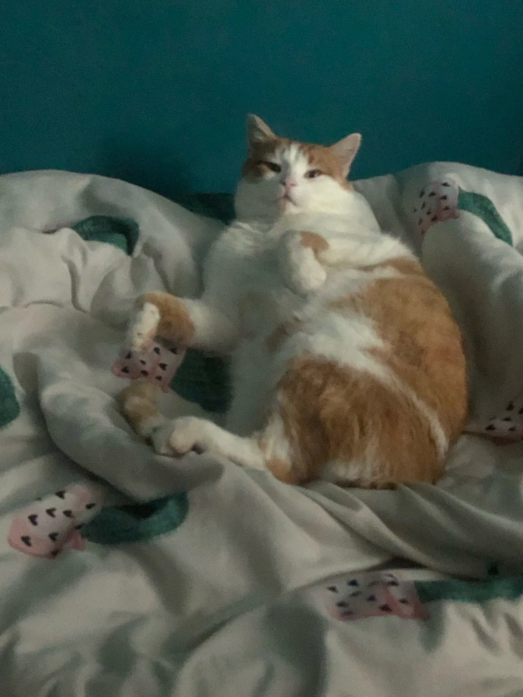 GIF dodany przez Matthew