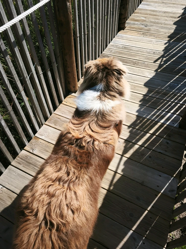 Imagem enviada por Marco Pires