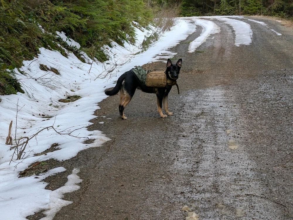 GIF uploaded by 🇺🇲Daniel Fisk Bennett