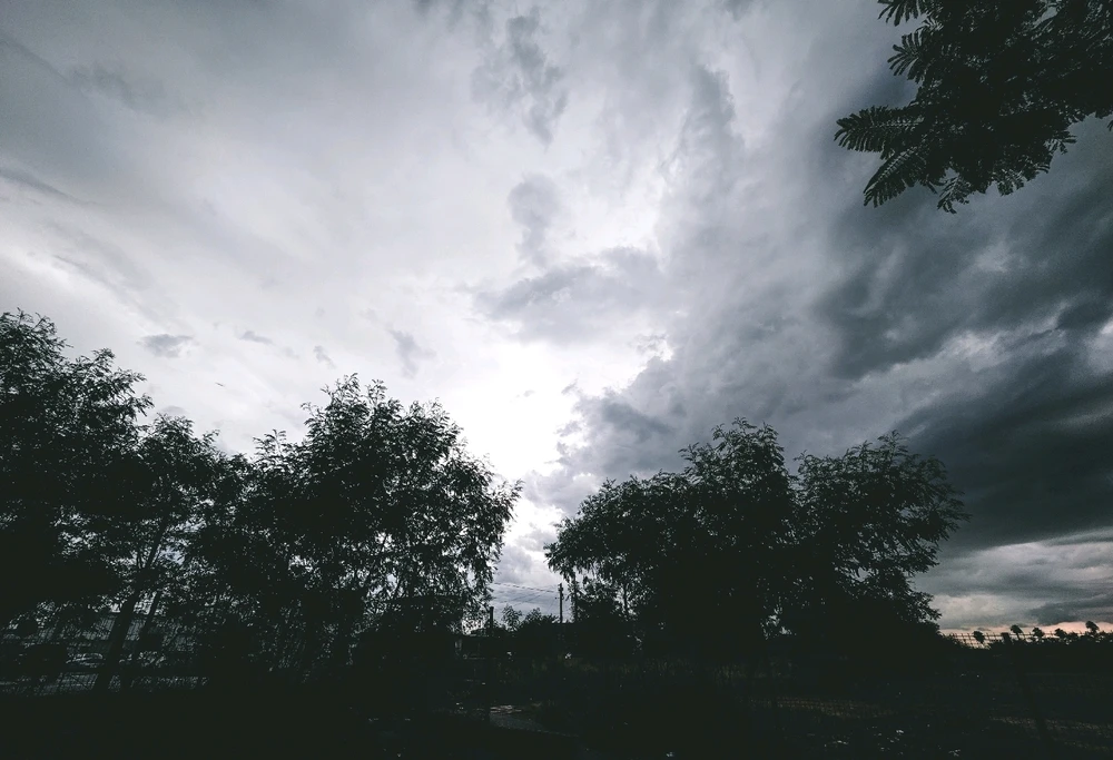 GIF subido por Jovani