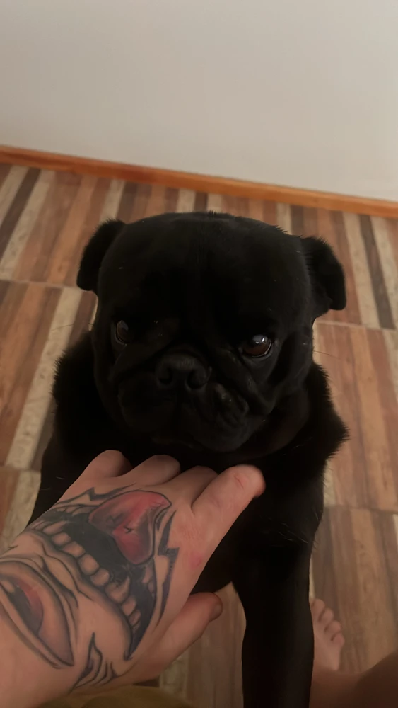 GIF subido por Cristofer