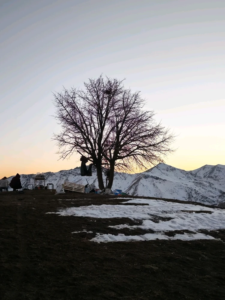 Image uploaded by Sadeq