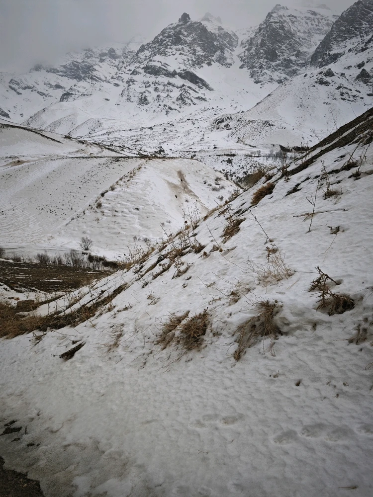 Image uploaded by Sadeq