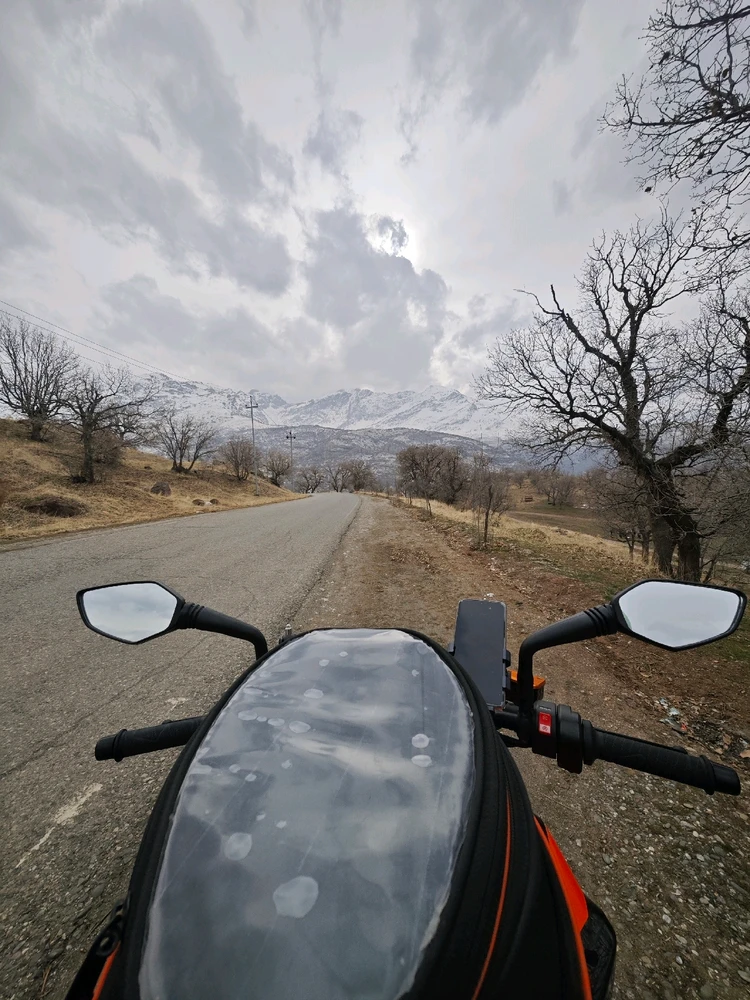 Image uploaded by Sadeq