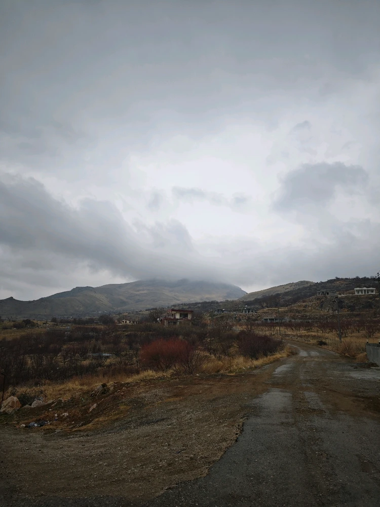 Image uploaded by Sadeq