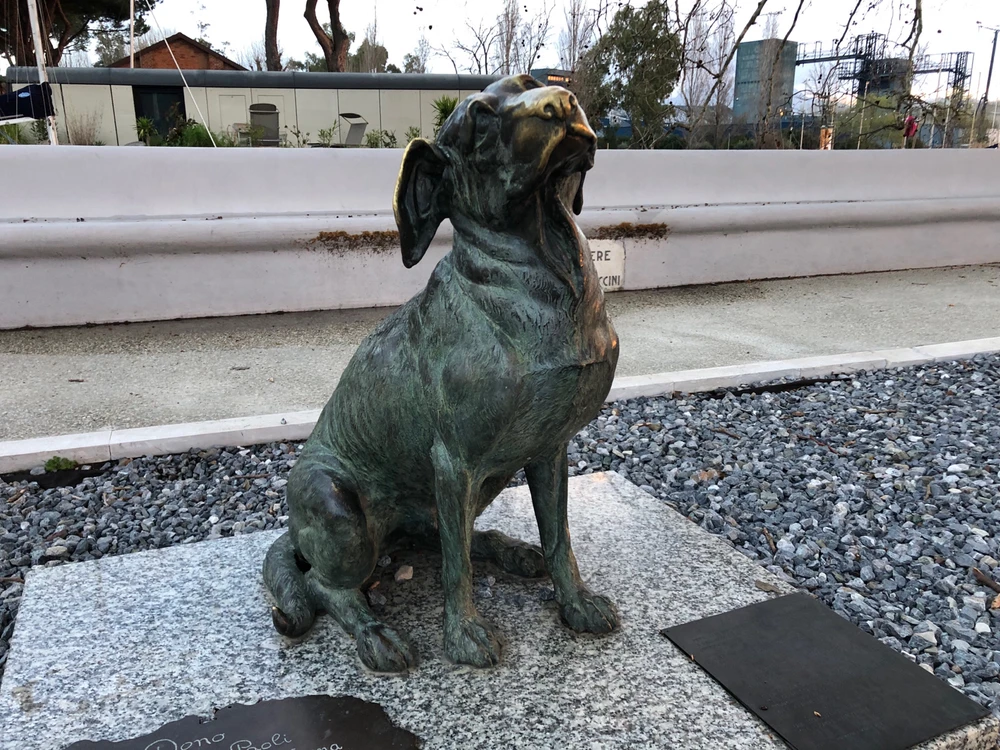 GIF caricata da Alex