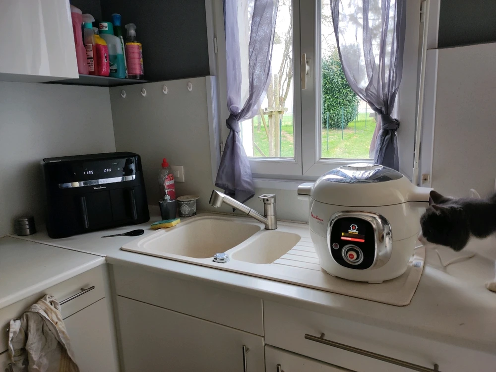 Repas en préparation