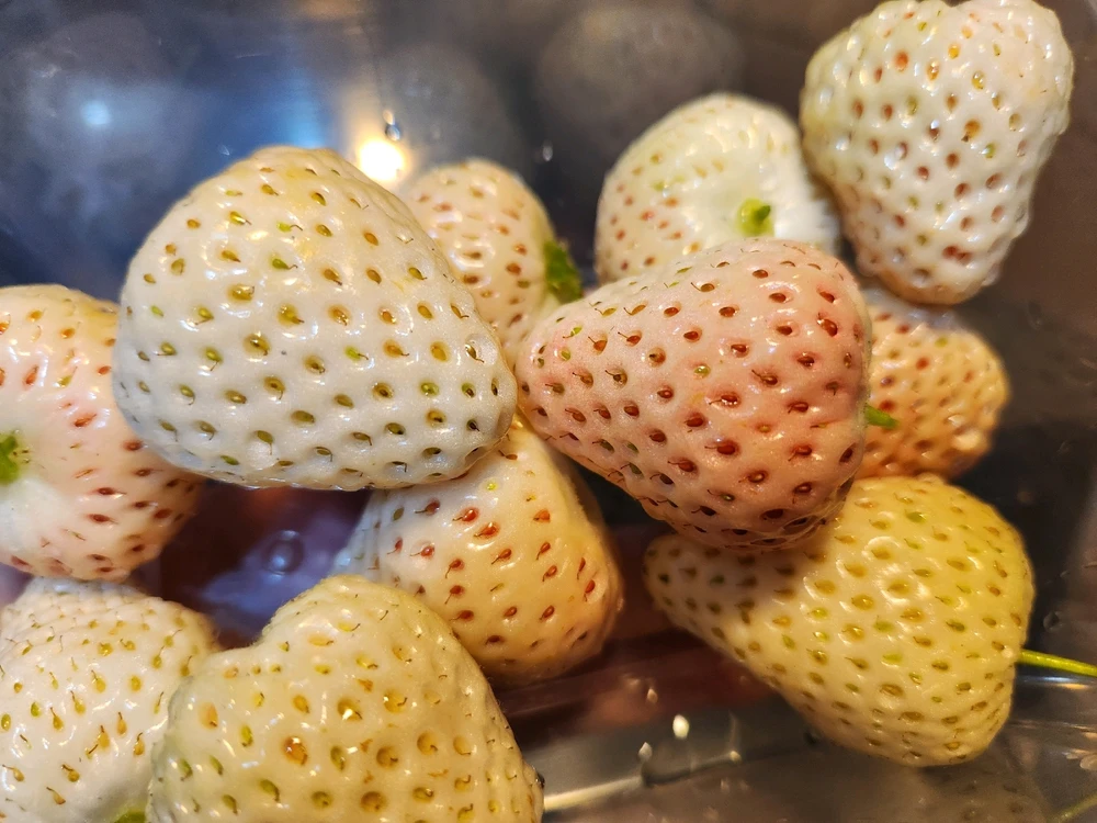 Image uploaded by ๐๐ฅจ๐
Koffy๐
๐ฐ๐