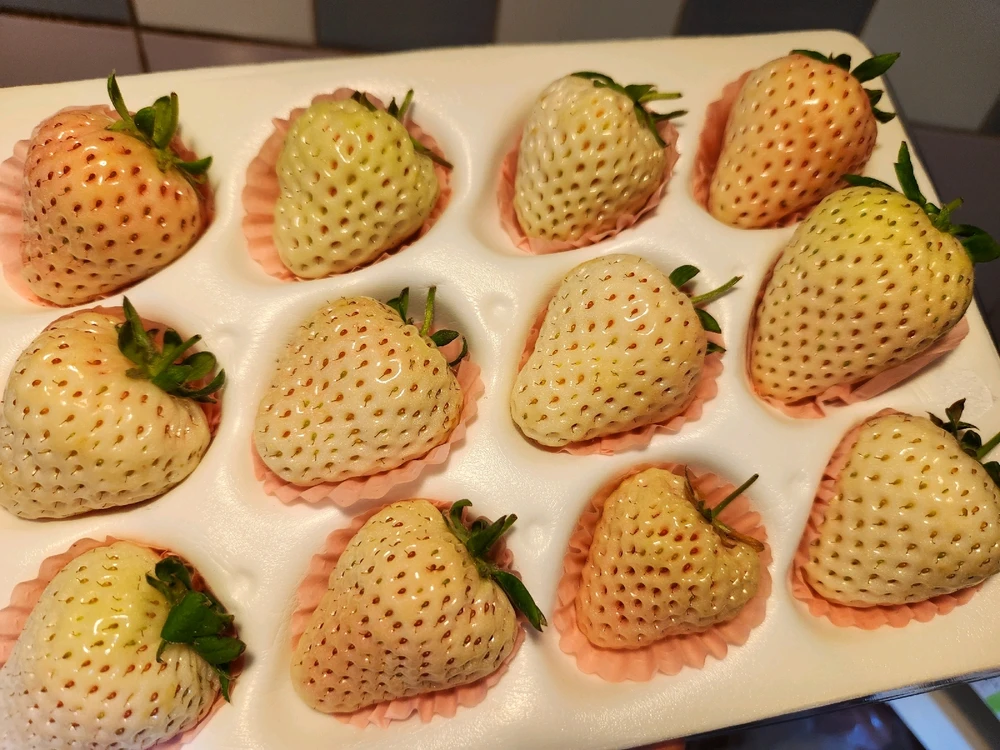 Image uploaded by ๐๐ฅจ๐
Koffy๐
๐ฐ๐