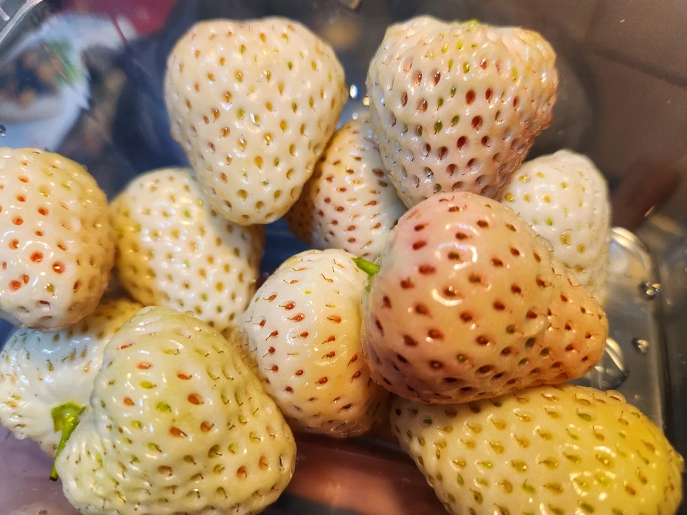 Image uploaded by ๐๐ฅจ๐
Koffy๐
๐ฐ๐