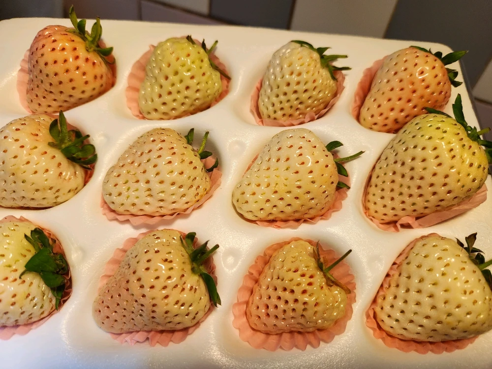 Image uploaded by ๐๐ฅจ๐
Koffy๐
๐ฐ๐