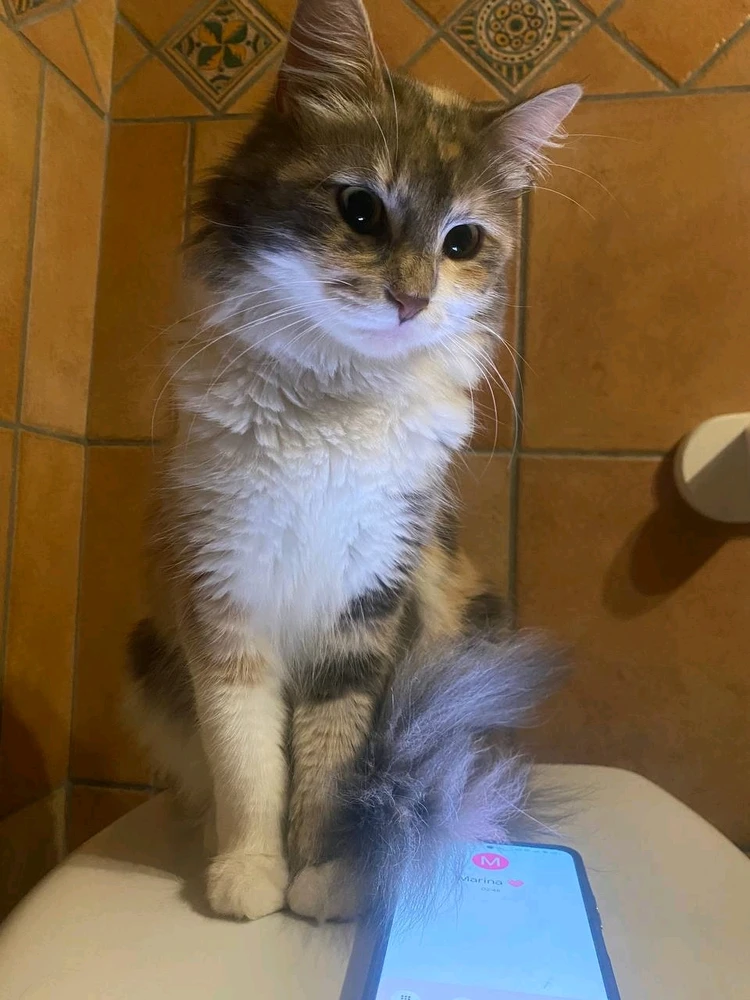 GIF caricata da aurora