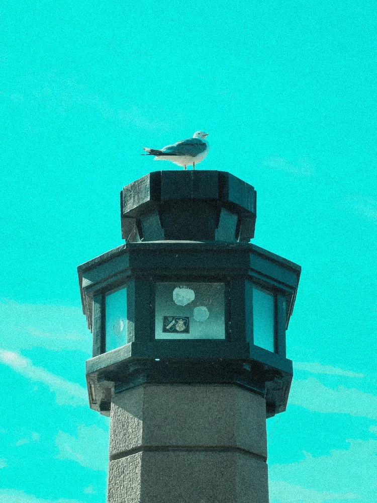 Bild uppladdad av Sebastian