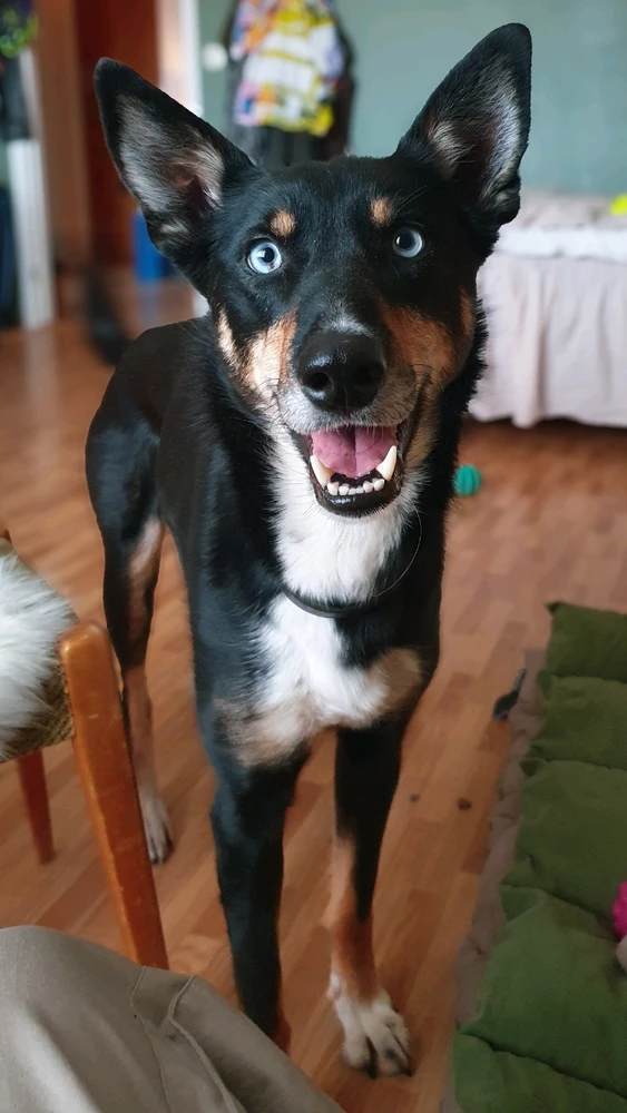 Image uploaded by Josefine