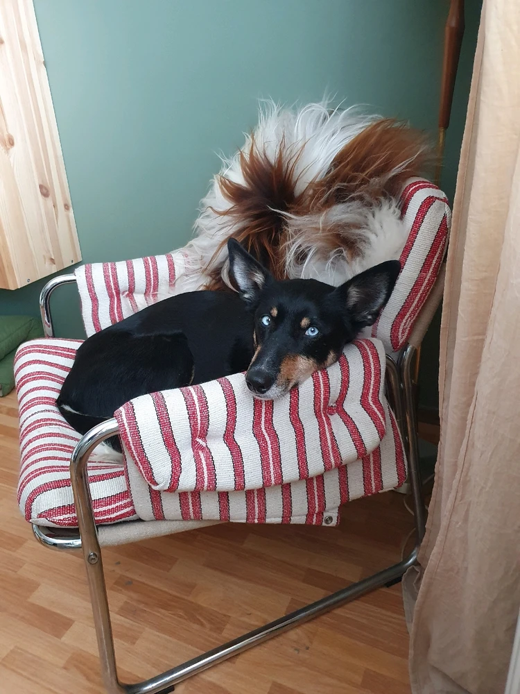 Image uploaded by Josefine