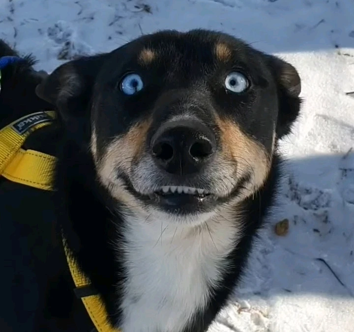 Image uploaded by Josefine