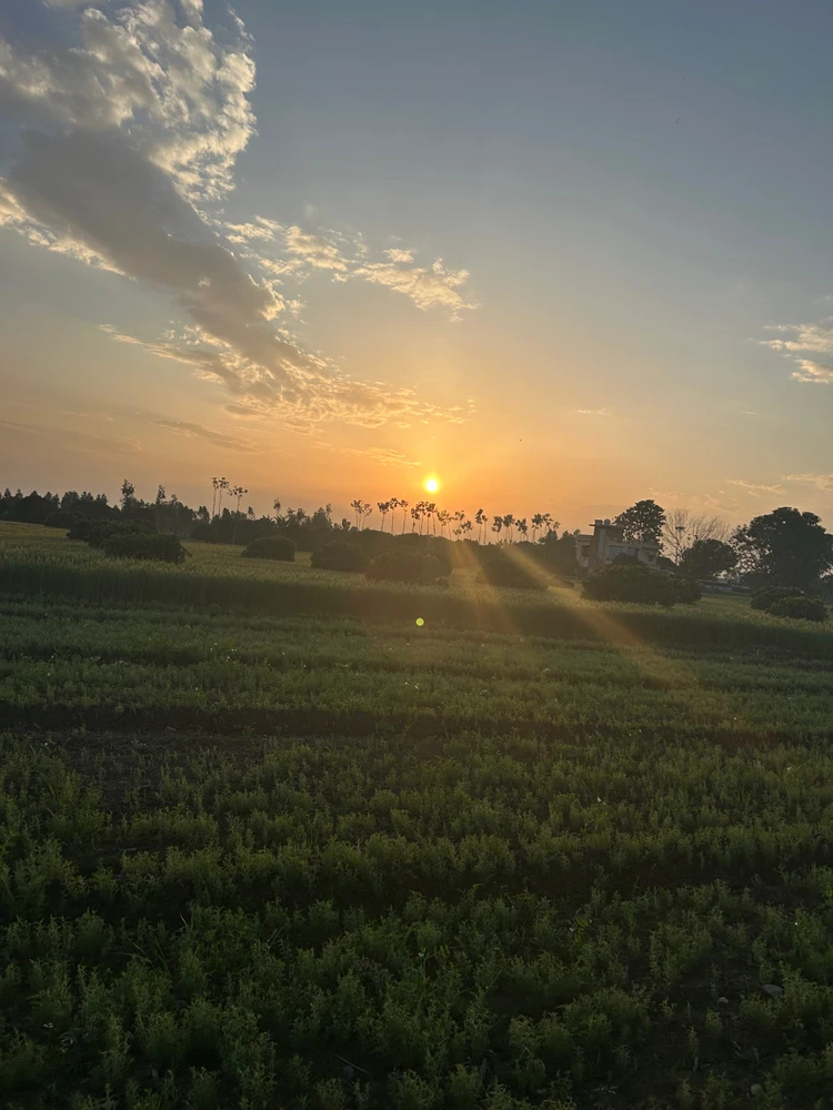 Image uploaded by Sagar