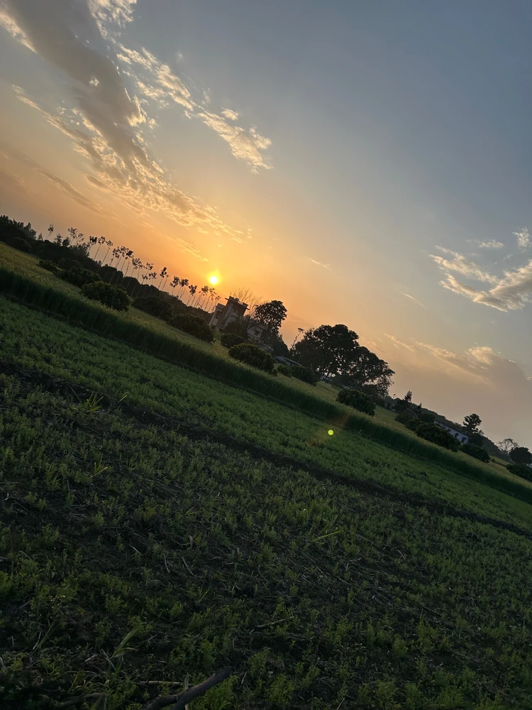 Image uploaded by Sagar