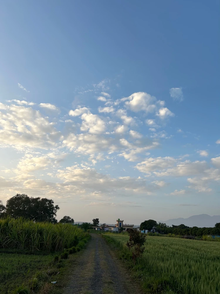 Image uploaded by Sagar