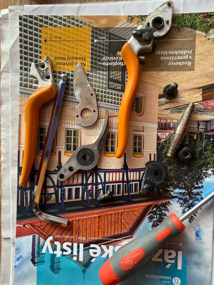 GIF nahral tosassamoj