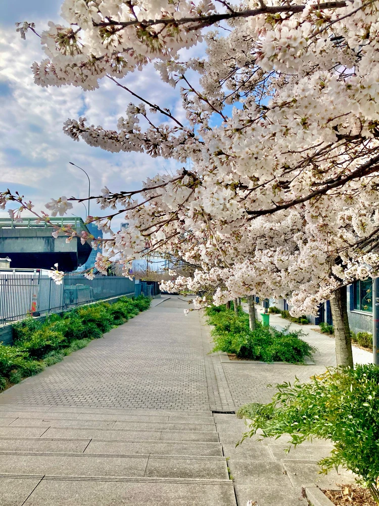 GIF uploaded by Loane