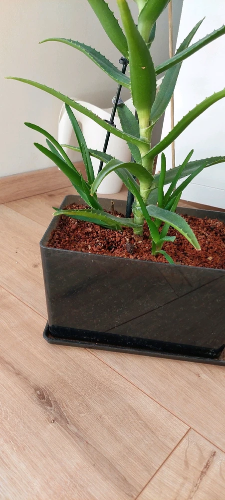 Bild hochgeladen von K