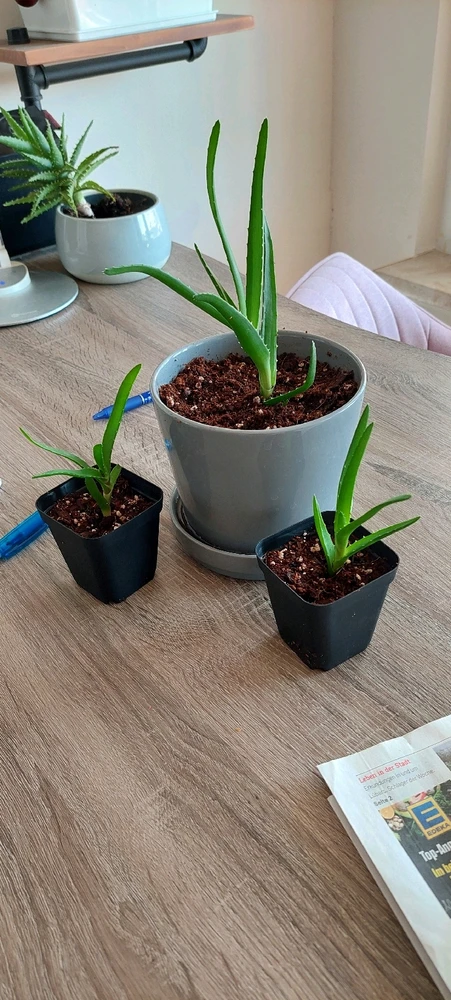 Bild hochgeladen von K