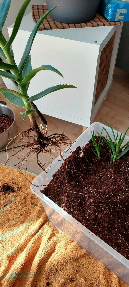 Bild hochgeladen von K