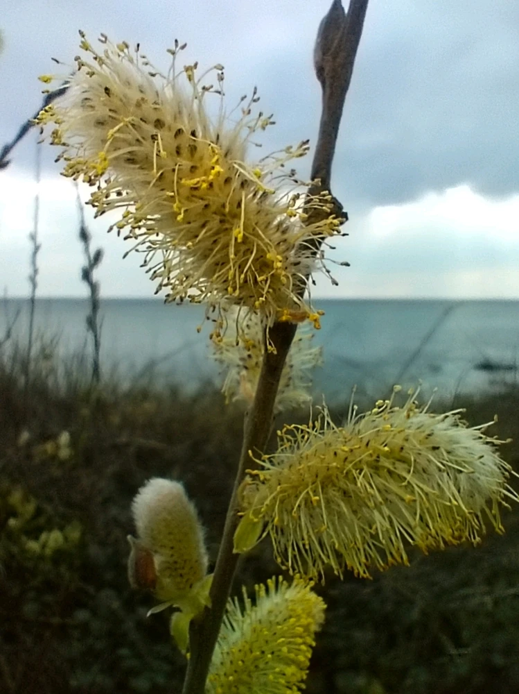 GIF ajouté par 𝓔𝓬𝓾𝓶𝓮𝓭𝓮𝓶𝓮𝓻🌊