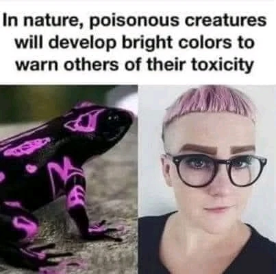 GIF ajouté par William