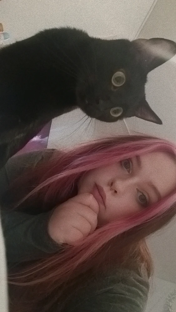 Pet photo swap!!✨️