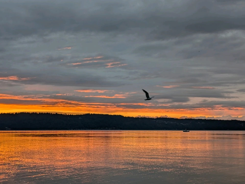 Image uploaded by 🇺🇲Daniel Fisk Bennett