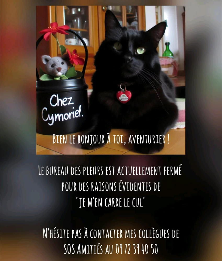 Image ajoutée par Cymoriel🦋