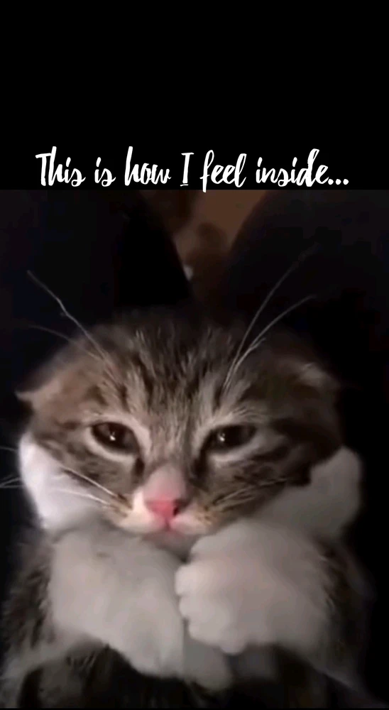 How many masks people wear?