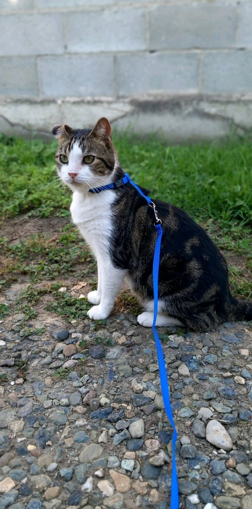 Immagine caricata da Namy