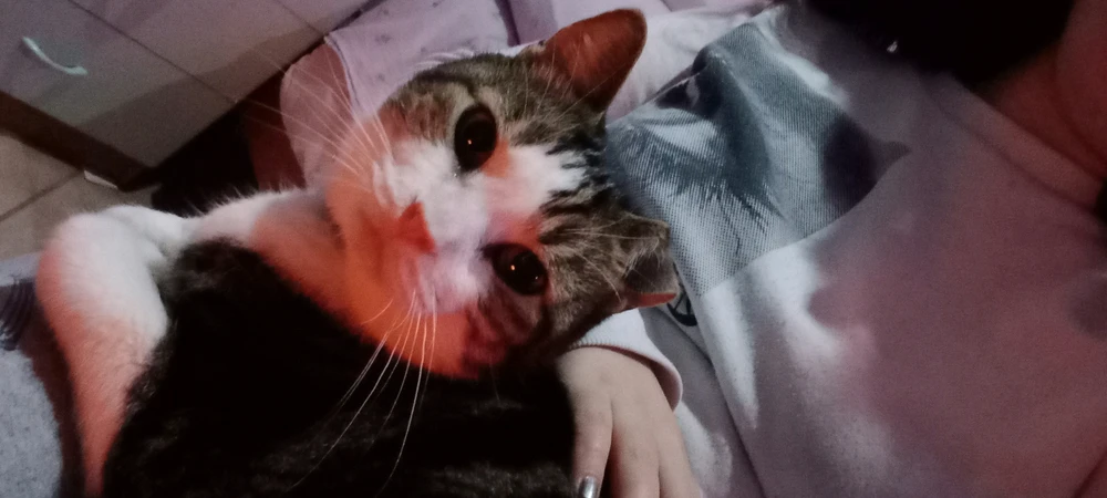 Immagine caricata da Namy