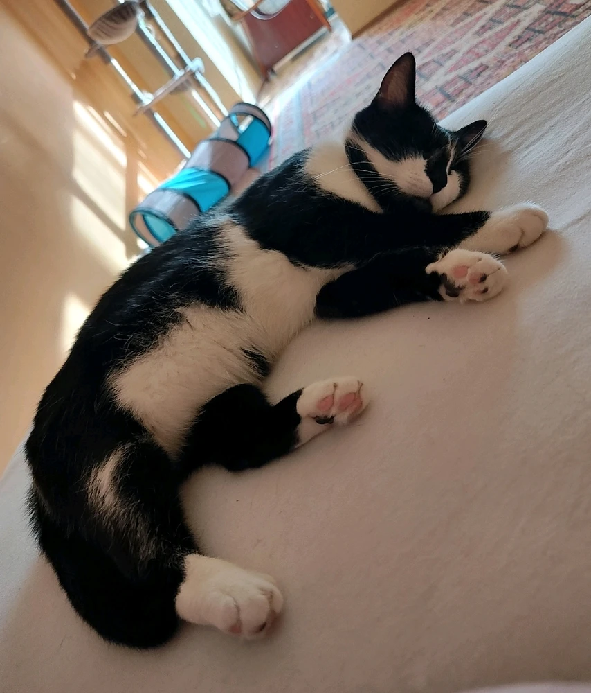 GIF încărcat de Cosmin