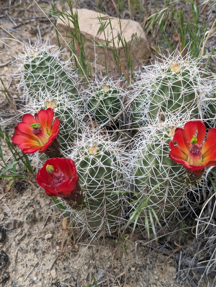 Image uploaded by Bailey