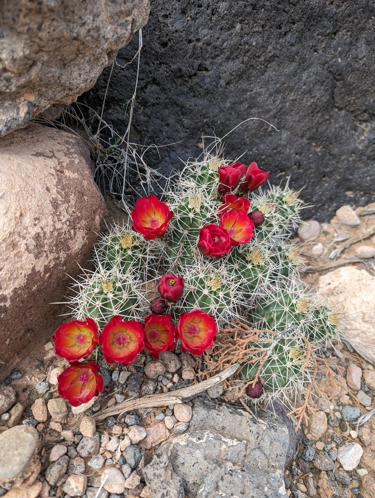 Image uploaded by Bailey