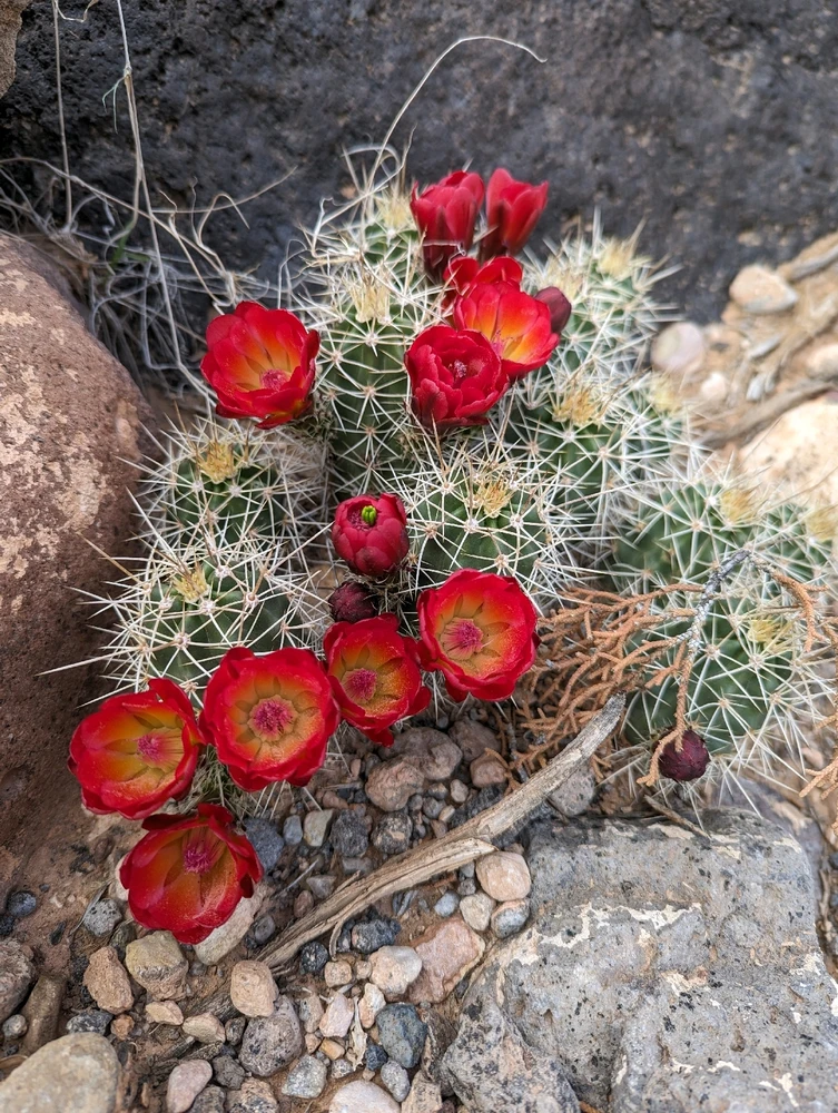 Image uploaded by Bailey